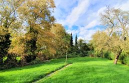 Einfamilienhaus auf einem 1313 m² Grundstück Einfamilienhaus-1313-qm-Grundstueck-Brake-Garten