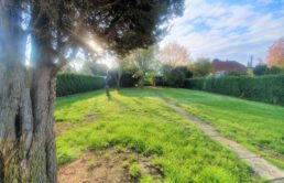 Kleines Haus – Große Wirkung! Kleines-Haus-grosse-Wirkung-Garten