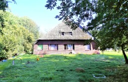 Resthof mit großem Grundstück sucht Liebhaber Resthof-in-Brake-mit-grossem-Grundstueck-Suedansicht