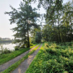 See Park Erlenteich Elsfleth
