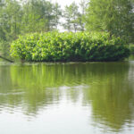 See Park Erlenteich Elsfleth