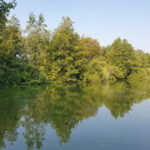 See Park Erlenteich Elsfleth