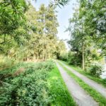 grundstuecksparadies-am-see-brake-privatweg-3
